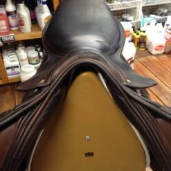 SOLD - County Sensation Jump Saddle - 17.5" -Equestrian Supplies IMG 3980