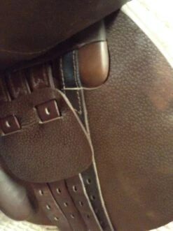 Prestige Archimede 2 Jump Saddle - 16" -Equestrian Supplies IMG 4500