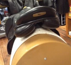 Black Country Tex Eventer - 19" -Equestrian Supplies IMG 4618