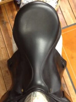 Black Country Tex Eventer - 19" -Equestrian Supplies IMG 4621