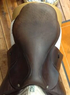 SOLD - Voltaire Palm Beach Jump Saddle 2017 - 17" -Equestrian Supplies IMG 4630