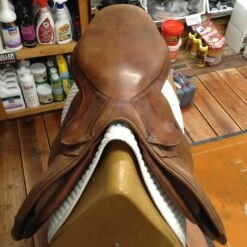 SOLD - 2010 Antares Jump Saddle - 19" -Equestrian Supplies IMG 4773