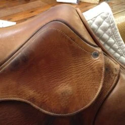 SOLD - 2010 Antares Jump Saddle - 19" -Equestrian Supplies IMG 4776