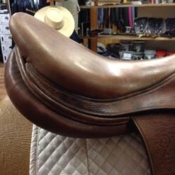 SOLD - 2010 Antares Jump Saddle - 19" -Equestrian Supplies IMG 4777