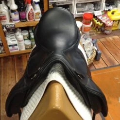 M Toulouse Diana Dressage - 17" -Equestrian Supplies IMG 4840