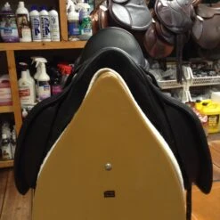 M Toulouse Diana Dressage - 17" -Equestrian Supplies IMG 4841