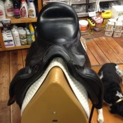 Cardanel Dressage Saddle - 17.5" -Equestrian Supplies IMG 5044