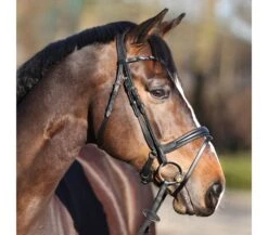 Kavalkade Ivette Dressage Bridle -Equestrian Supplies KavalkadeIvette2