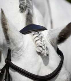 Premier Equine Rizzo Anatomic Snaffle Bridle With Flash 11 Premier Equine Rizzo Anatomic Snaffle Bridle With Flash -Equestrian Supplies PERizzocrownpiecebrown