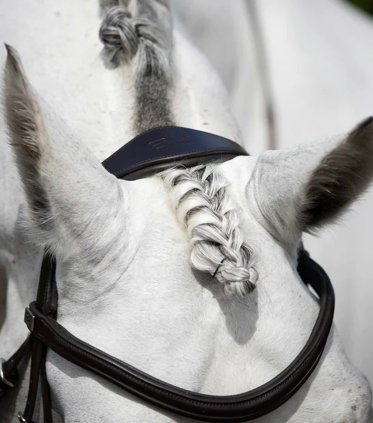 Premier Equine Rizzo Anatomic Snaffle Bridle With Flash 5 Premier Equine Rizzo Anatomic Snaffle Bridle With Flash - Image 5