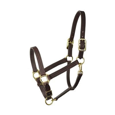 Perri's 1" Havana Turnout Halter 1 Perri's 1" Havana Turnout Halter