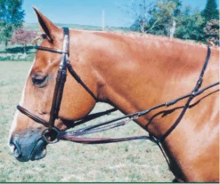 Tory Leather German Martingale