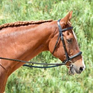 Bobby's English Tack Eventer Heavy Duty Padded Bridle 1 Bobby's English Tack Eventer Heavy Duty Padded Bridle