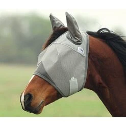 Equestrian Supplies -Equestrian Supplies cashel6