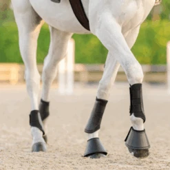Equifit Essential® Everyday™ Front Boots -Equestrian Supplies download 4