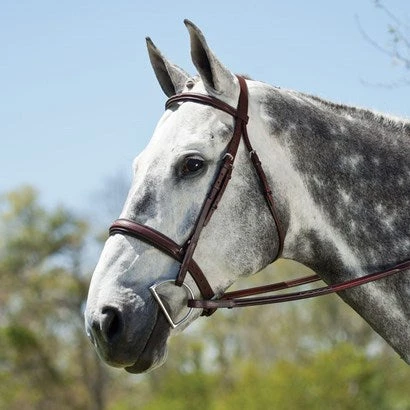 Edgewood Fancy Stitched, Raised, Padded Hunter Bridle 1 Edgewood Fancy Stitched, Raised, Padded Hunter Bridle