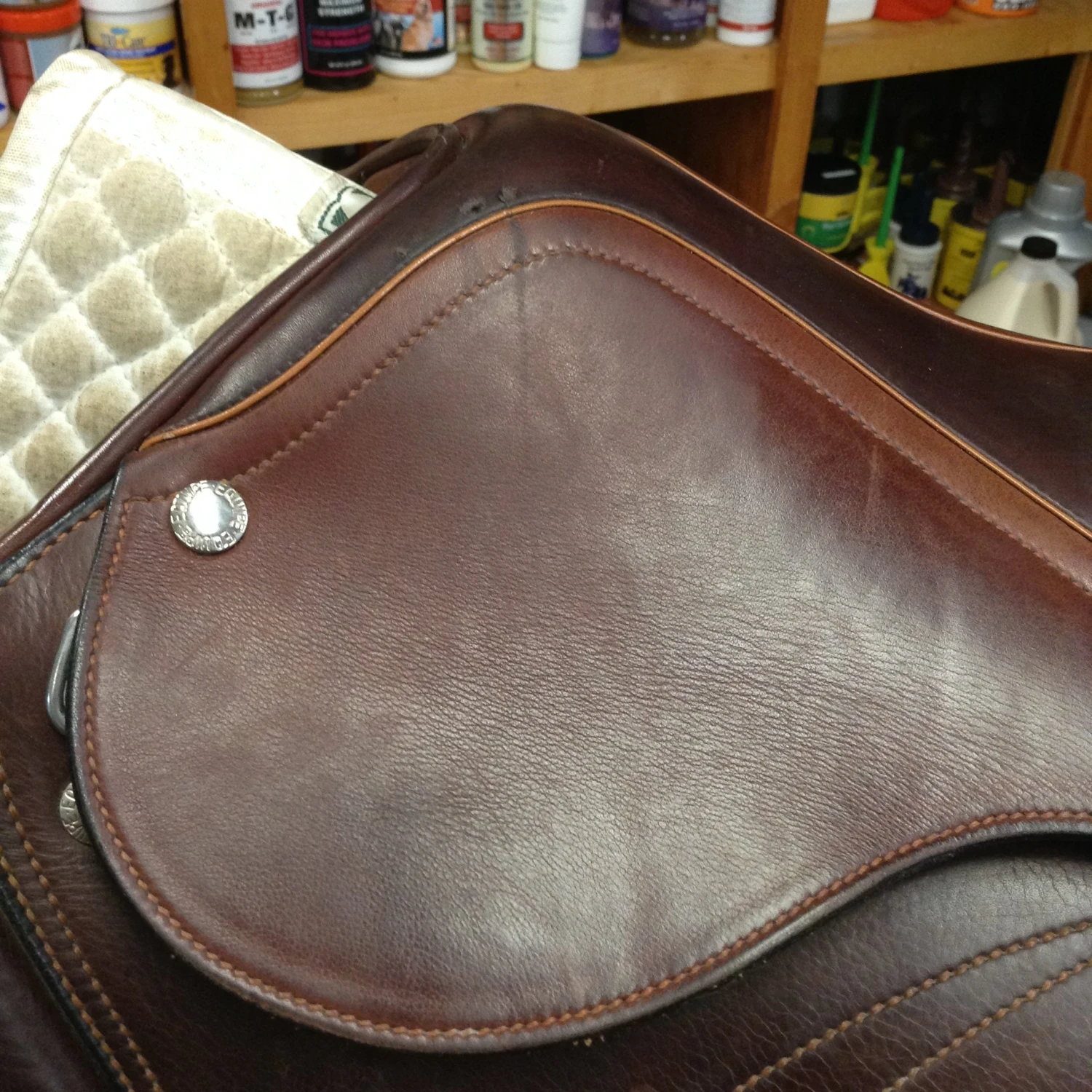 Equipe Expression Jump Saddle - 17.5" 2 Equipe Expression Jump Saddle - 17.5" - Image 2