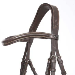 Kavalkade Ivy Dressage Bridle -Equestrian Supplies kavivy5