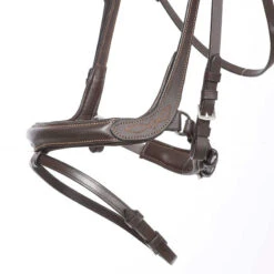 Kavalkade Ivy Dressage Bridle -Equestrian Supplies kavivy6