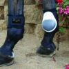 Professional's Choice Pro Performance Fetlock Boots