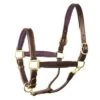 Perri's 1" Leather Padded Halter