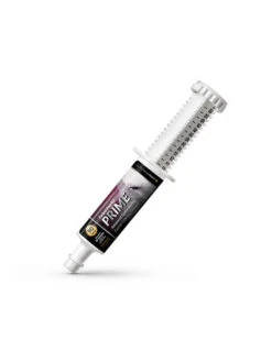 Perfect Prep EQ™ Prime