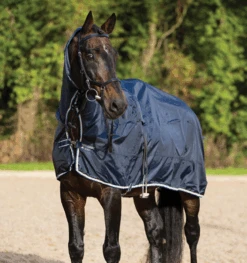 Equestrian Supplies -Equestrian Supplies rambo5