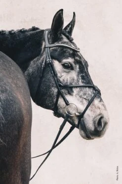 Schockemohle Rio Select Anatomical Bridle -Equestrian Supplies scho2